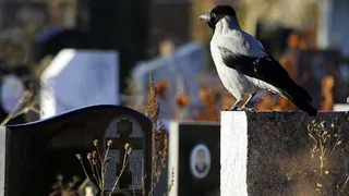 «Похоронные» деньги предлагают увеличить в три раза