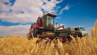 Рязанская область в 2022 году полностью обеспечена семенами