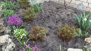 Насыпаю крупу в бутылку — и муравьи не успевают даже пощады попросить: своими же лапками превратят муравейник «в пыль»