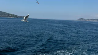 Египет уже прошлый век - коллега рассказала про новый курорт: летим всей семьей в апреле