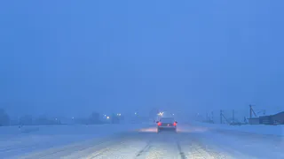 Челнинец выплатит 84 тысячи рублей за сбитого лося в Татарстане