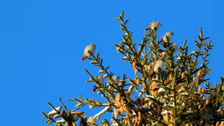 10 декабря в Челябинской области ожидается значительное потепление после 25-градусных морозов