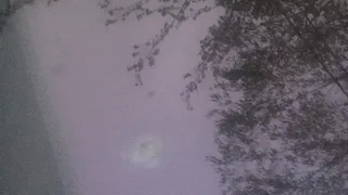 Произошло все ночью: на улице Тимакова неизвестный расстрелял автомобиль