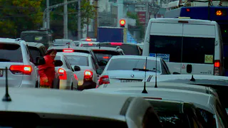 Клан бессмертных: на Первомайском проспекте обитают самые смелые пешеходы Рязани