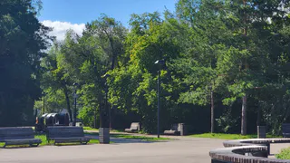 Дожди и холода: синоптики рассказали о погоде в Чувашии на 25 сентября