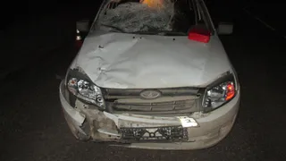 В Рязани сбили трех пешеходов, среди них 8-летний мальчик