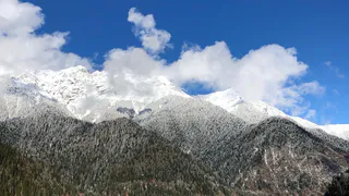 "Попрошайки и разгромленные дома": россиянин оставил честный отзыв об отдыхе в Абхазии