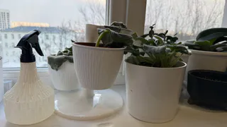 Домашние вампиры: 6 вещей в доме, которые крадут здоровье день за днем 