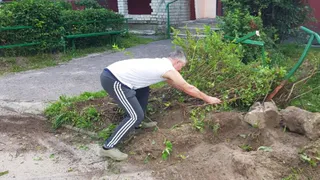 Дятьковский водитель летевший на скорости врезался в клумбу