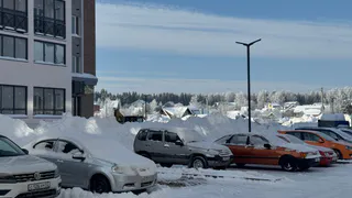 Новая уловка мошенников на парковках: пакет на зеркале может стоить вам машины - в ГАИ объяснили, что делать