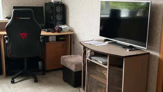 Новый штраф за тараканов в квартире