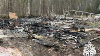 Пожароопасный день в Коми: один пострадавший и пять возгораний за сутки