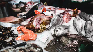 Рыба как источник здоровья: как правильно выбрать качественный продукт