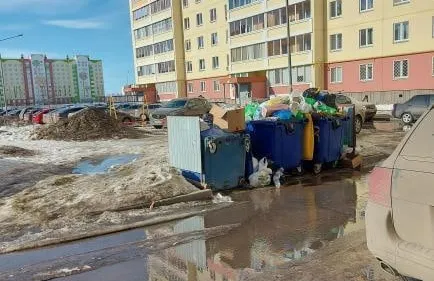 А воз и ныне там: нижнекамцы жалуются на контейнеры полные мусора
