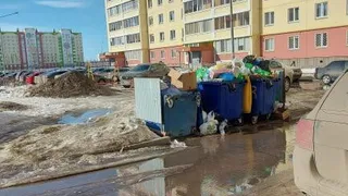 А воз и ныне там: нижнекамцы жалуются на контейнеры полные мусора 