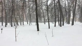 Снегопад 14 февраля - видео