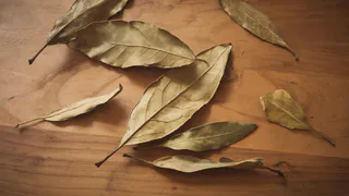 Положите лавровый лист на ночь под подушку: вот на что это влияет - эффект долго не заставит себя ждать