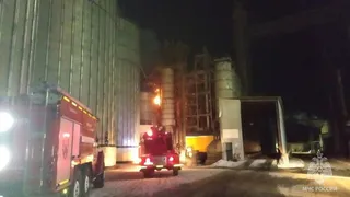 В Челябинской области загорелся элеватор с семечками