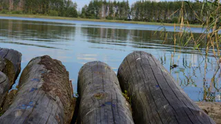 В пруду под Рязанью нашли тело мужчины
