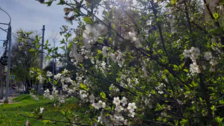 Погода на следующий месяц: что ждёт рязанцев в апреле?