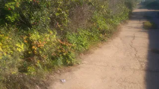 Что волнует жителей Нижнекамска?