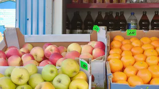 В Коми зафиксирован рост цен на зубную пасту и яблоки, а бытовая техника и колбасы подешевели