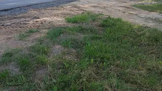 Управление автомобильных дорог оперативно ответило на обращение Брянца