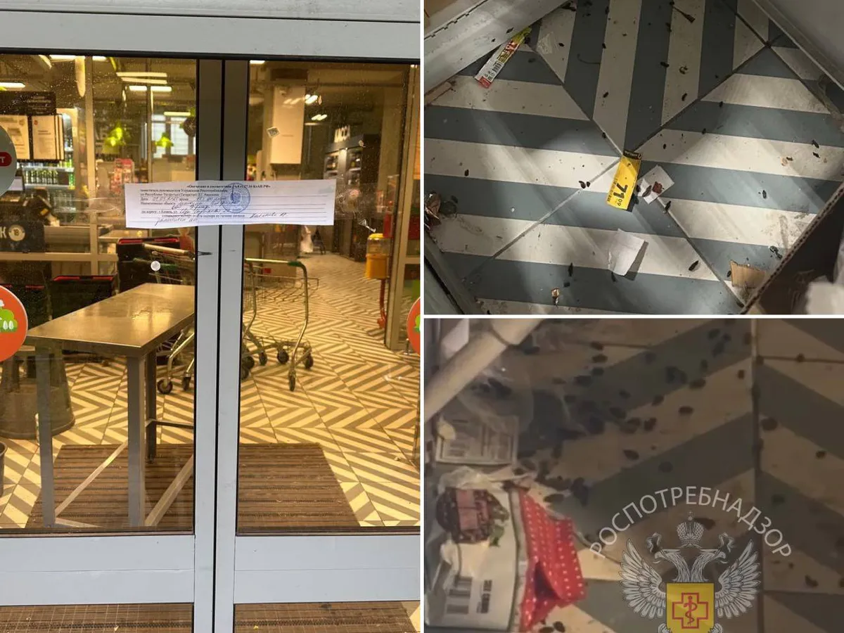 Деятельность «Пятерочки» в Казани приостановлена из-за обилия крыс