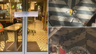 Деятельность «Пятерочки» в Казани приостановлена из-за обилия крыс