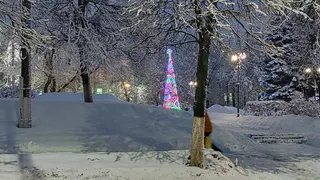 Выходные переносят из-за обстановки в стране: новогодние каникулы 2024-2025 больше не будут прежними