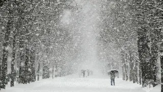 Во Владимирской области ожидается сильный мокрый снег, гололед: циклон с востока к нам придет уже сегодня