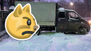 "Бери лопату, убирай сам": Рязань в неравной битве против снега - отзывы жителей