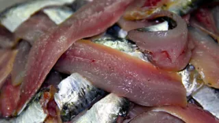 Эта рыба кишит паразитами: мы ее подаем на стол и даем детям. В ней нашли 10-метровых червей