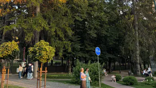 Синоптики озвучили дату первого снега: готовьтесь уже сейчас или сильно поплачете зимой