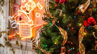 Как в Рязани отметят Новый год. Программа мероприятий