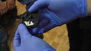 До 3 лет тюрьмы грозит жителю Пензы за хранение мефедрона