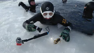 Девушка-фридайвер рассказала о своем первом погружении под лед в Рязанской области