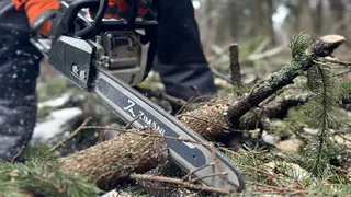 В Муромцевском техникуме примут региональный этап чемпионата по лесным профессиям