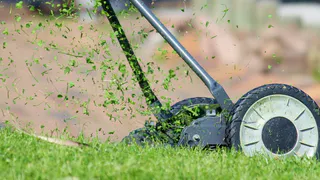 "И зачем так маяться, убери леску с триммера": сосед подсказал, как легко косить траву и не тратиться на дорогую леску