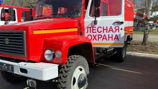Во Владимирской области стартовала подготовка к пожароопасному сезону
