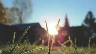 В Коми 11 октября ожидаются заморозки и сильный ветер