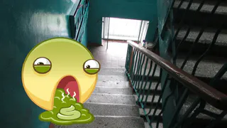 Запах в подъезде на Белякова: причиной амбре стал труп животного