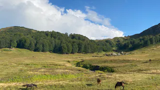 "Убого и страшно.Тут разбиваются мечты": россиянин отдохнул в Абхазии и оставил свой честный отзыв 