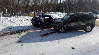 На трассе в Коми при лобовом столкновении погиб водитель