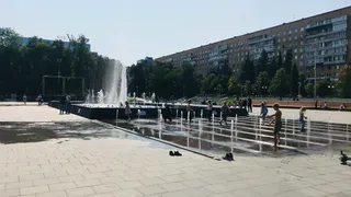 Три совы, изъятые у уличных фотографов в Пензе, находятся в тяжелом состоянии