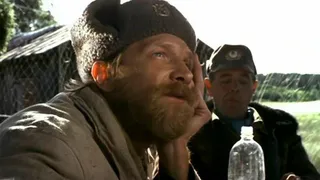 В брянском лесном ведомстве плохо борются с коррупцией