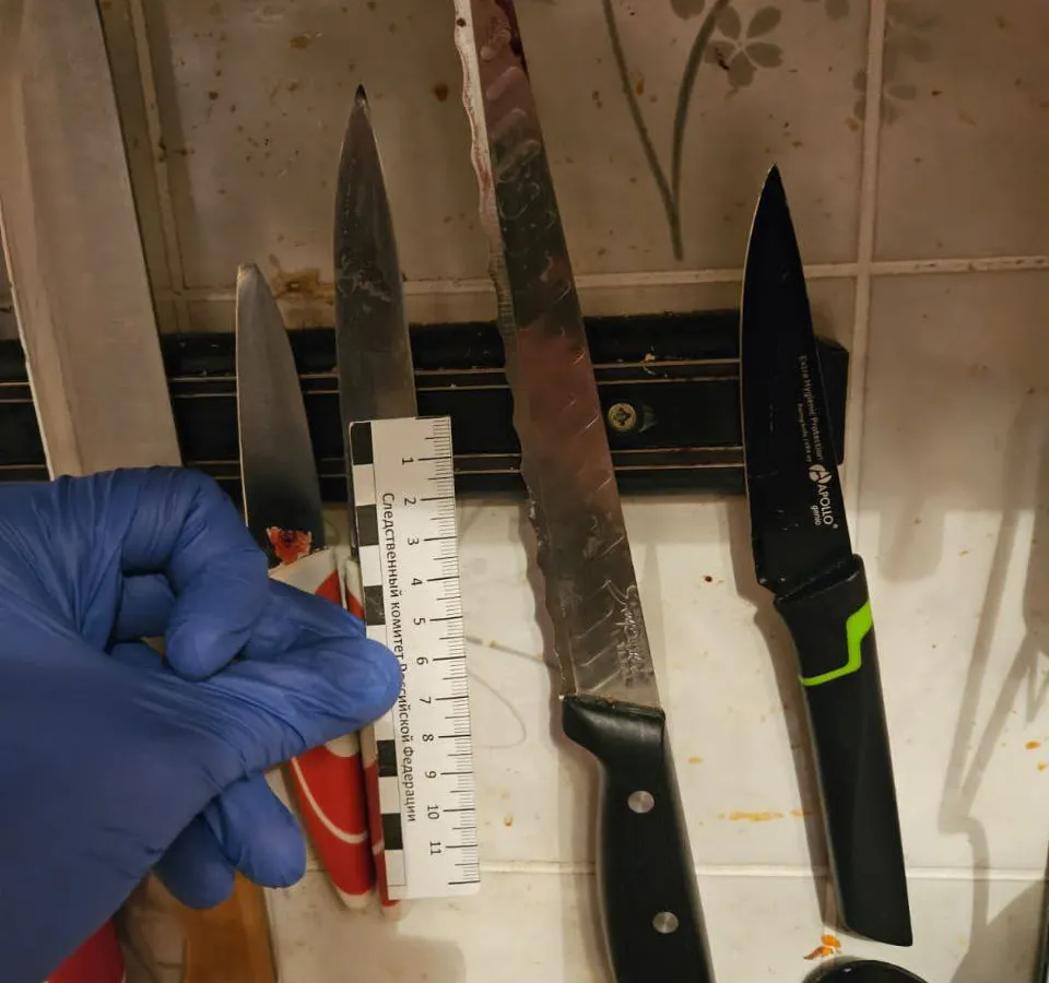 30-летняя жительница Пезы зарезала сожителя своей матери