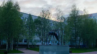 17 июня лето временно покидает Усинск: холодно и дождливо  