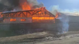 В Брянске тушат крупный пожар на пилораме