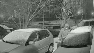 Ночью в Рязани мужчина вскрыл машину и украл из неё вещи